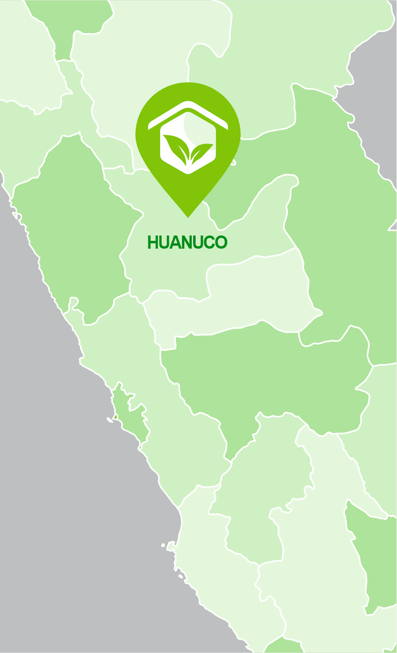 TINGOMARIA  HUANUCO