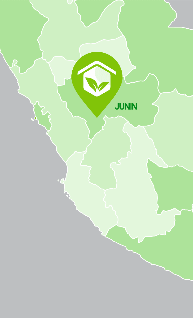 HUANCAYO - JUNIN