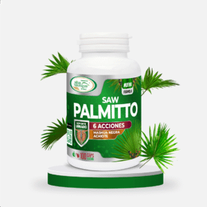 SAW PALMITTO